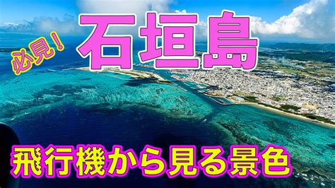 那覇 石垣島 飛行機 空を駆ける夢と現実の狭間で