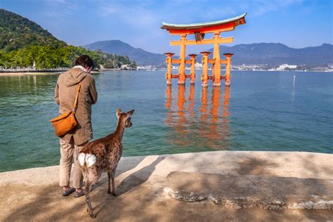 広島空港から厳島神社：旅の始まりと終わりの間にあるもの